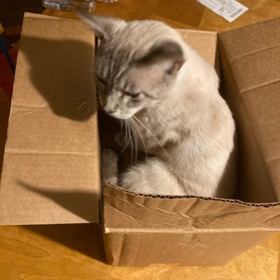 Imnotyourbluer's profile picture. 