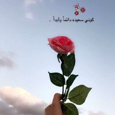 bent_elwatan's profile picture. 