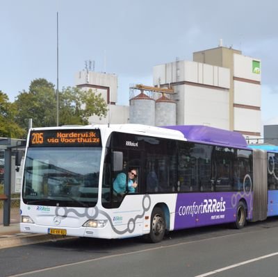 Rijdt bus, praat en luistert, stemgerechtigd, hele slechte taalnazi