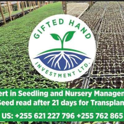 swai_zacharia's profile picture. 