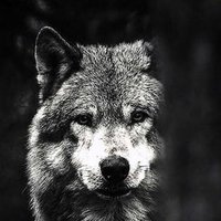 Türker SANCAK 🇹🇷 (@turkerrsancakk1) 's Twitter Profile