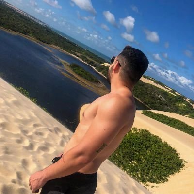 Palmeiras e economia.