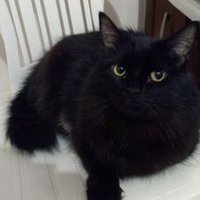 Ewerton (@ewerton_nsm) 's Twitter Profile