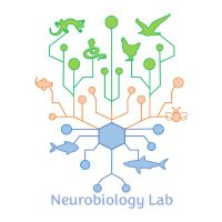 Neurobiology Lab(@eyehartneuro) 's Twitter Profileg