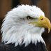 Austin Middle School (@amseagles2022) Twitter profile photo