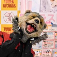 むぎちゃ🐺(@yachimugi) 's Twitter Profile Photo