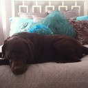 Carol Ernst - @NashFlyerMom88 - Twitter