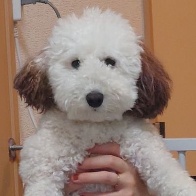 kazu_ffbe124's profile picture. 最近コーヒーにどハマリして色々な器具や色んな豆買ったりして自分に合う１杯を探してます☕
珈琲ってホント奥が深くてハマりまくり🤭