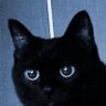 FrozenFriends's profile picture. はじめまして。ただの猫好きです。
孤独に寄り添うような音楽が好き。
Hi, I'm just a cat lover. and love melancholic music.

https://t.co/XM5lF7J3Gj
instagram: frozenfriends17