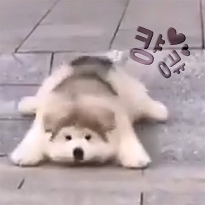 엄기준 배우님, 김도빈 배우님 2본진/ 김이후 배우님, 장민수 배우님/ 주로 배우따라 관극 / ⭐️구독❌⭐️ 맞팔 원하시면 멘션 먼저 주시고 팔로해주시면 맞팔할께요 / 그냥 아무 멘션 없이 팔로만 하시면 블언블 / 이별도 편한 블언블 / 예의 없음을 불편해합니다.