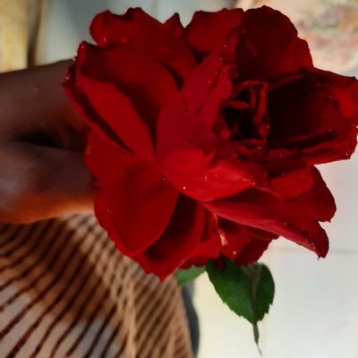 sarya_alsharif's profile picture. # Sudanese 🇸🇩. #Every thing you need will come to you as aperfect time..💜🧚