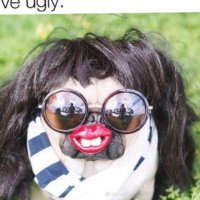 Jwily (@julieconvery) 's Twitter Profile