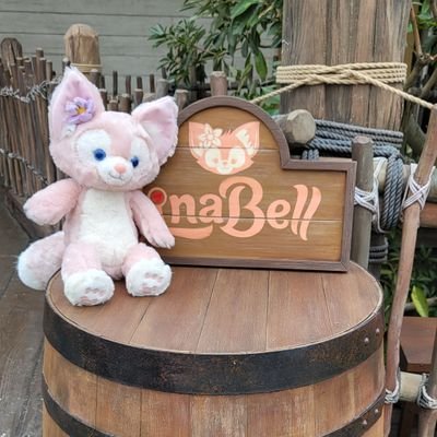 好きなものを好きなだけ