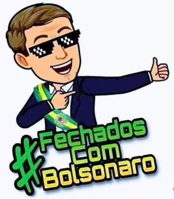 Patriota, Conservador, armamentista, apoiador do governo Bolsonaro.