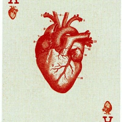 landa23333's profile picture. 
