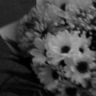 alovmn_c's profile picture. ♡