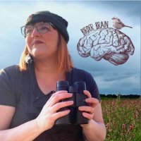 Birder Brain (birder_KS)(@birderKS) 's Twitter Profile Photo