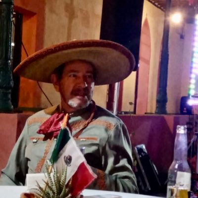 Consultor en políticas Públicas
