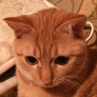 philo1985 (@philosophy1985) 's Twitter Profile Photo philo1985 (@philosophy1985) 's Twitter Profile Photo