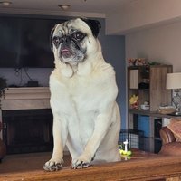John Philapavage (@johnphilapavage) 's Twitter Profile