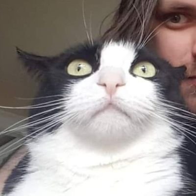 Lover of felines and fisticuffs.
Fan of the Habs and everything related to hockey.