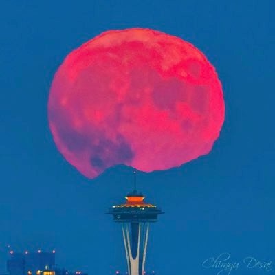 Heynongman14's profile picture. 