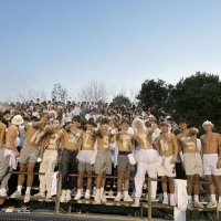 Bleacher Creatures (@fthsbleach2020) 's Twitter Profile