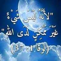 TareK (@tarekhairat70) 's Twitter Profile