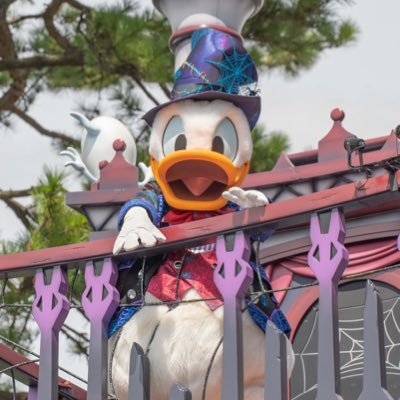 kino_Disney's profile picture. 名前は"きの"です💙98line💛D垢💙DM苦手です💛🆖無断転載