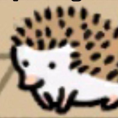 ☀️さんのプロフィール画像
