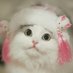 呼啦啦(互fo) (@hulala64349253) Twitter profile photo 呼啦啦(互fo) (@hulala64349253) Twitter profile photo