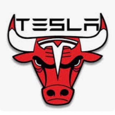 Long term Tesla bull investor.