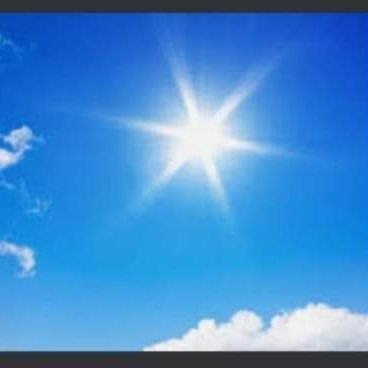 skk2391's profile picture. Human