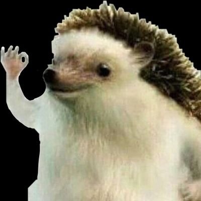 235000tung's profile picture. 