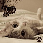 Geka6471's profile picture. 