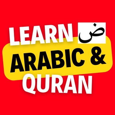 LearnSiraj's profile picture. 