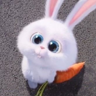 홍나인🥕さんのプロフィール画像