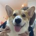 卍ポテト🐶 (@03049300rm) Twitter profile photo 卍ポテト🐶 (@03049300rm) Twitter profile photo