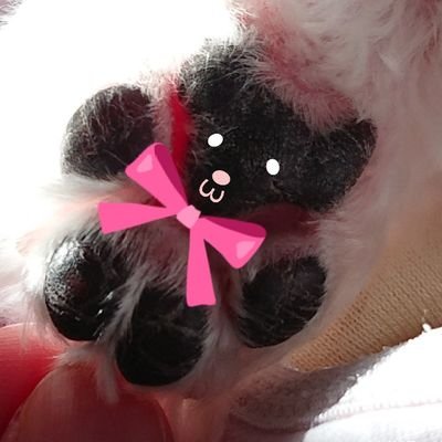 化け猫さんのプロフィール画像