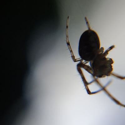 Etudiant L2 biologie intégrative, biodiversité et environnement 🌱

Comprend pas le peu d'intérêt envers la catastrophe écologique qui se passe actuellement...