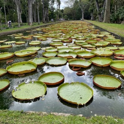 RodrigoTascon2's profile picture. 