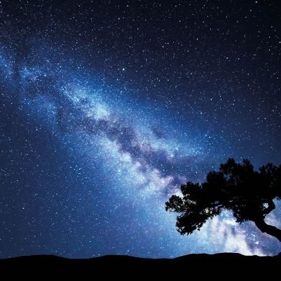 neziRz_2612's profile picture. 