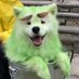 *berbboo* (@hiberbboostore) Twitter profile photo *berbboo* (@hiberbboostore) Twitter profile photo