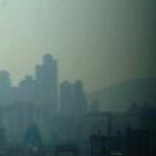 charmhazi's profile picture. 여러사람을 좋아하고 아무도 미워하지 않으며 몇몇 사람을  끔찍이 사랑하며 살고 싶다.