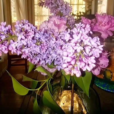 cuspy21's profile picture. 