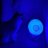 haf_mrc's profile image