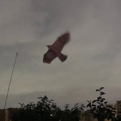 junie_in_the's profile picture. 오늘 읽은 UX 관련 아티클을 타임라인에 남기는 것과 열매책 기록이 메인인 계정/ UXer가 되고 싶은 경계인