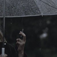 🌪️🌪️ (@ferronix_) 's Twitter Profile