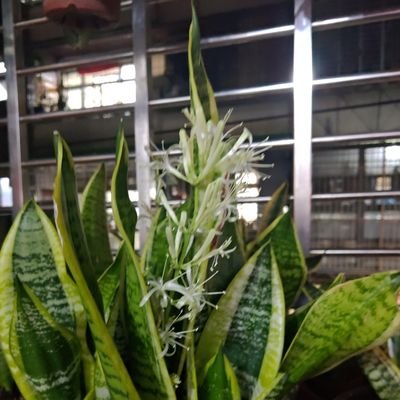 Chris_Kuro's profile picture. 人是有情緒的，激烈的言行在所難免。 只能期許別越走越偏了