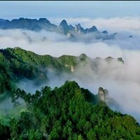 Field scenery (@fieldscenery) 's Twitter Profile